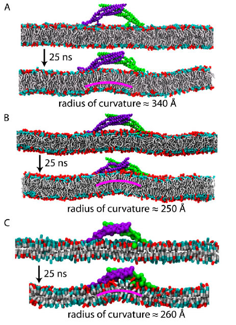 Fig. 9_Arkhip