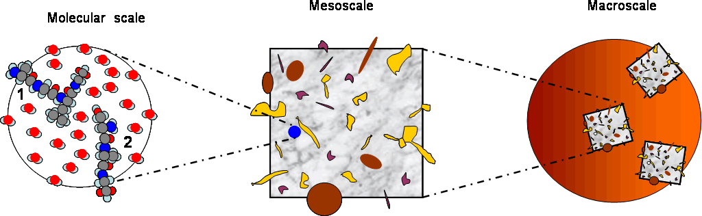 3-scale-BU-TD-connections.png